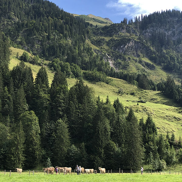 Oberstdorf