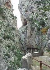 {short description of image}