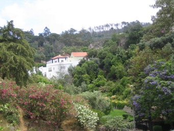 Caldas de Monchique 2