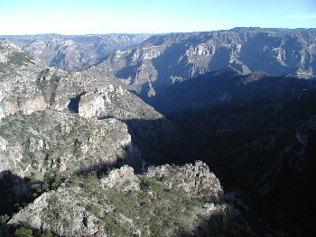 {short description of image}