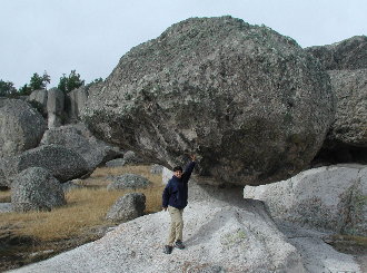 {short description of image}