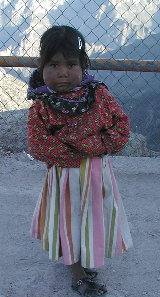 {short description of image}