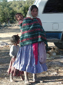 {short description of image}