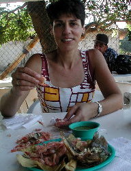 {short description of image}