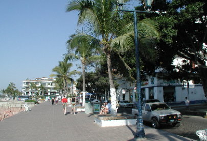 {short description of image}