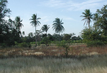 {short description of image}