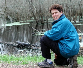 {short description of image}