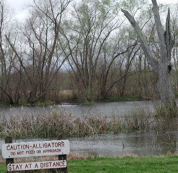 {short description of image}