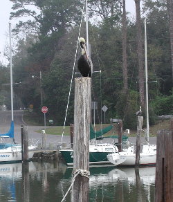 {short description of image}