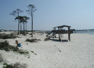 {short description of image}