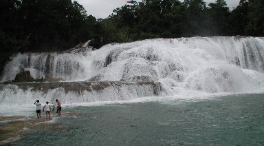 {short description of image}