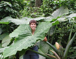 {short description of image}