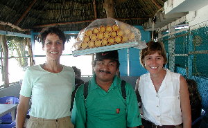 {short description of image}