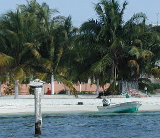 {short description of image}