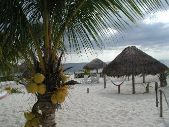 {short description of image}