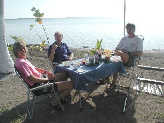 {short description of image}