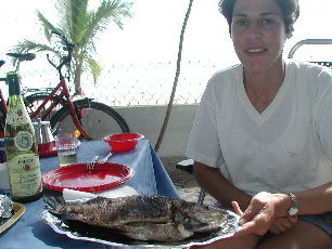 {short description of image}