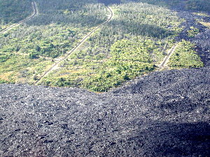 {short description of image}