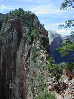 Angels Landing Trail 2