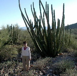 {short description of image}