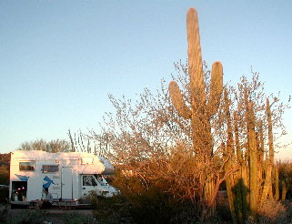 Organ Pipe CG