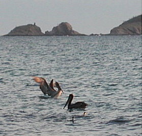 {short description of image}