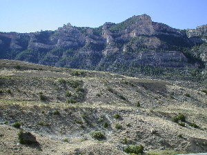Bighorn Natl. Forest