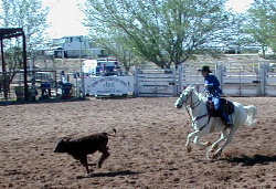 Rodeo