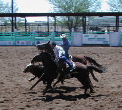 Rodeo3