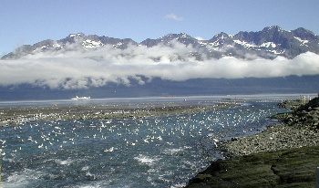 Valdez