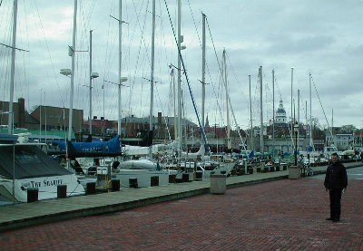 Annapolis harbor